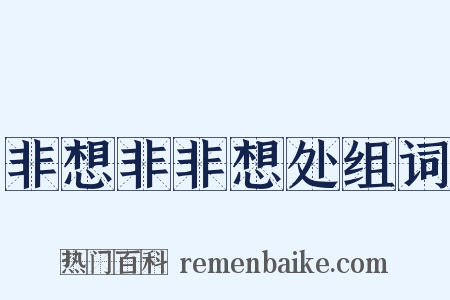 非想非非想处组词是什么意思的图片